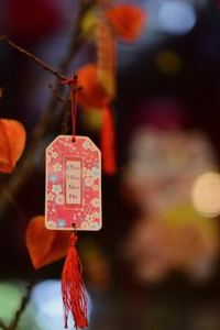 giấy phép Hi88